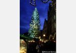 Der Weihnachtsbaum am Rmerberg